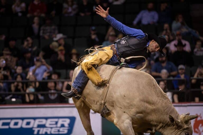 How to Watch Everett, Washington Round 1: Stream PBR Bull Riding Live, TV Channel