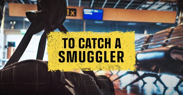How to Watch To Catch a Smuggler: Stream Season 7 Premiere Live, TV Channel